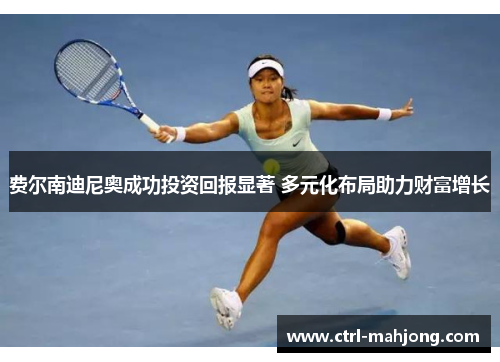 费尔南迪尼奥成功投资回报显著 多元化布局助力财富增长