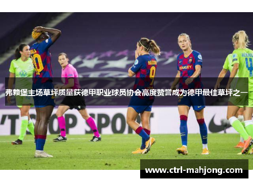 弗赖堡主场草坪质量获德甲职业球员协会高度赞誉成为德甲最佳草坪之一