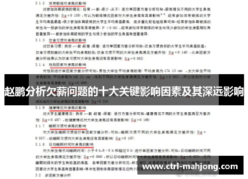 赵鹏分析欠薪问题的十大关键影响因素及其深远影响
